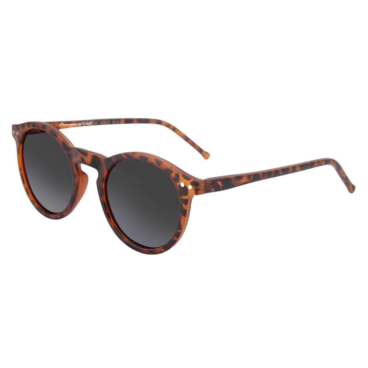 Margaritaville Latitudes Sunglasses