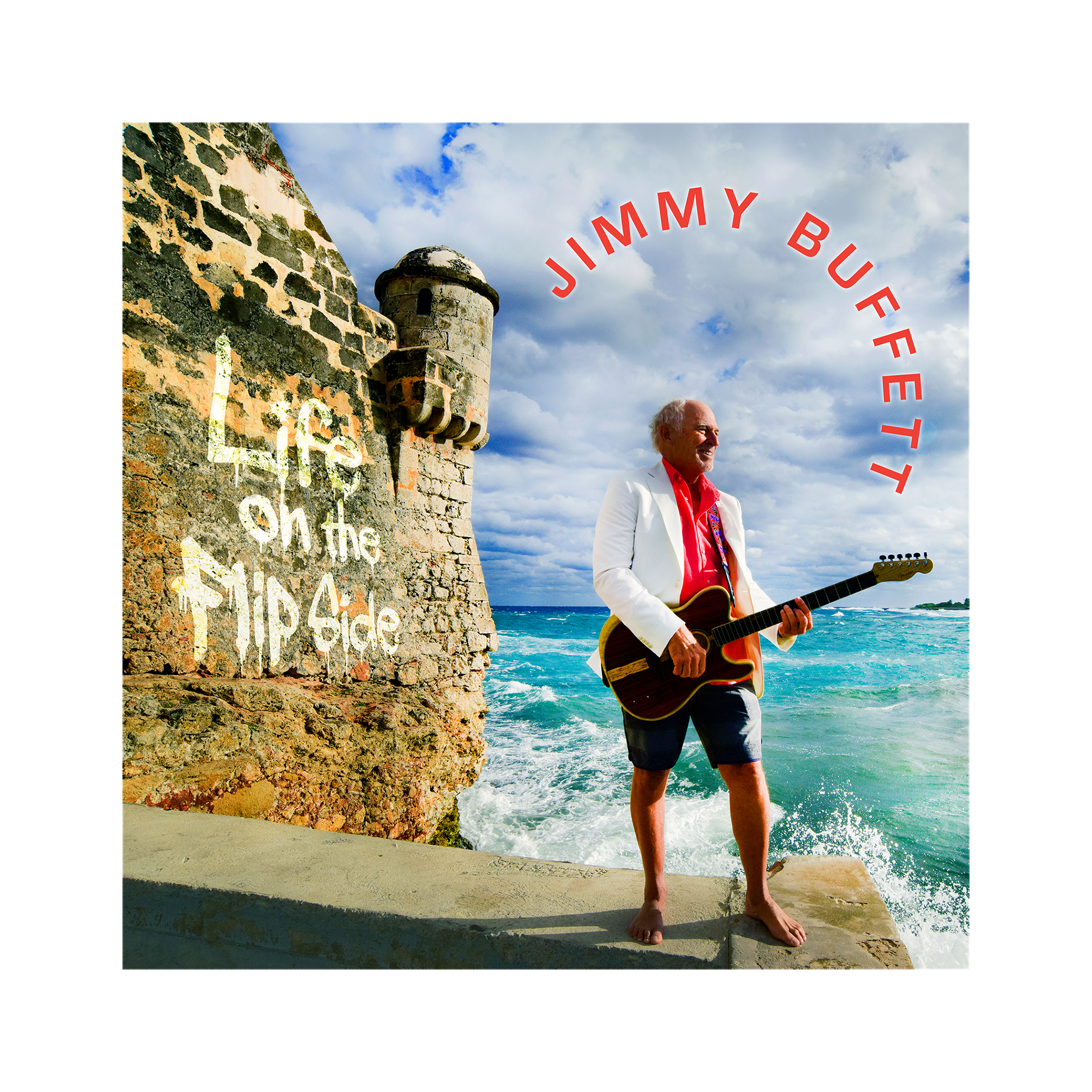 Life on the Flip Side Vinyl
