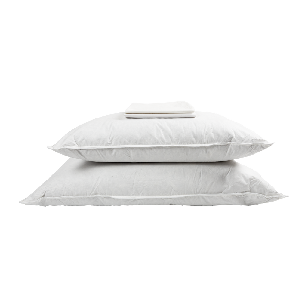 Margaritaville Resort Paradise Pillow - Queen - 2 Pack
