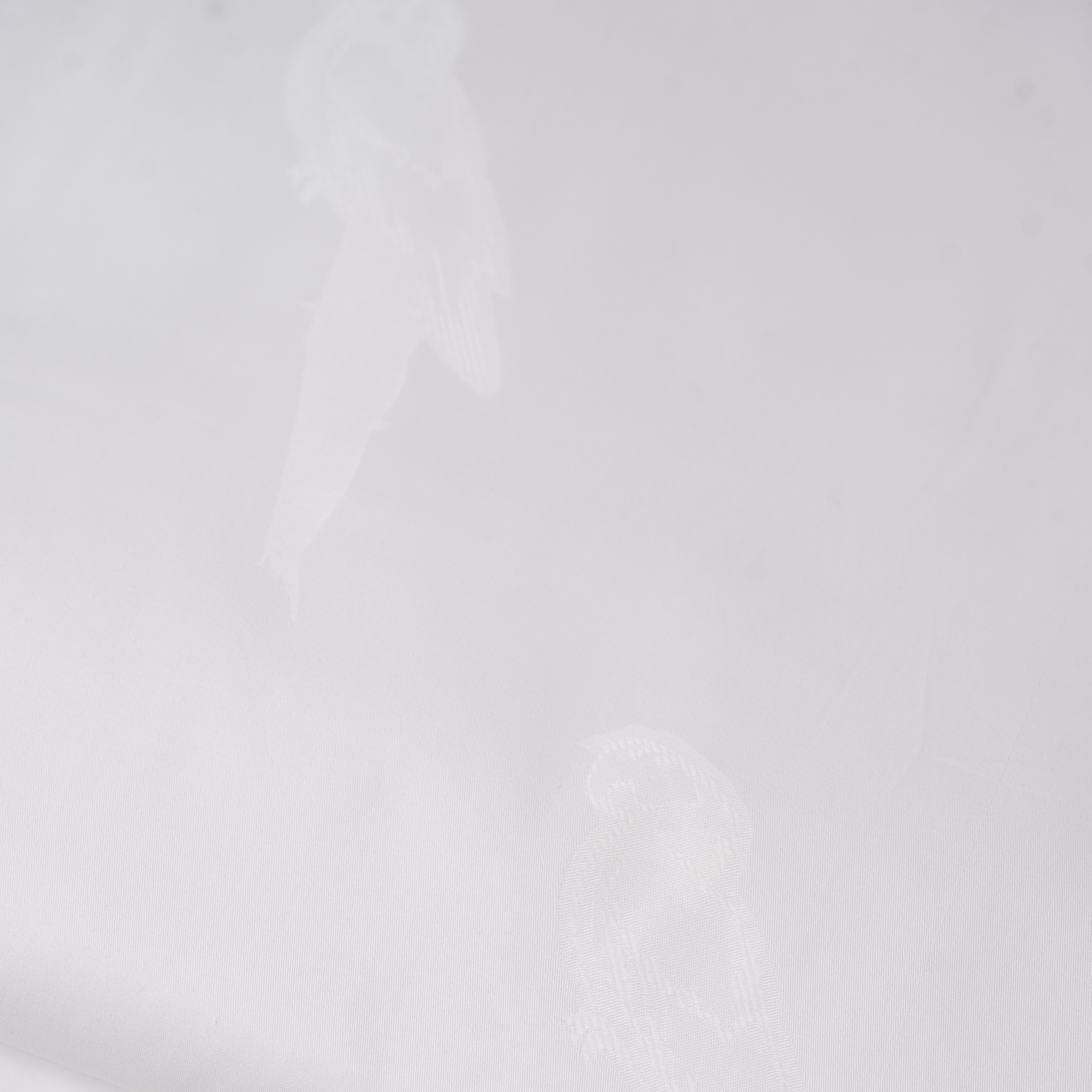 Margaritaville Resort Parrot Queen Top Sheet